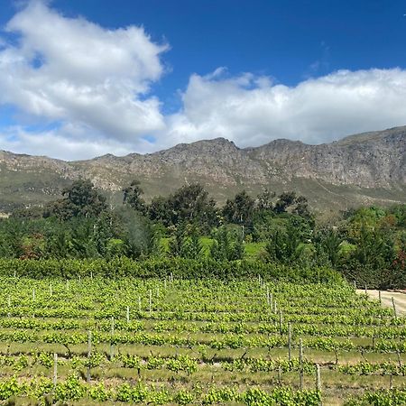 Franschhoek Rose Cottages Kültér fotó