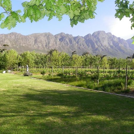 Franschhoek Rose Cottages Kültér fotó
