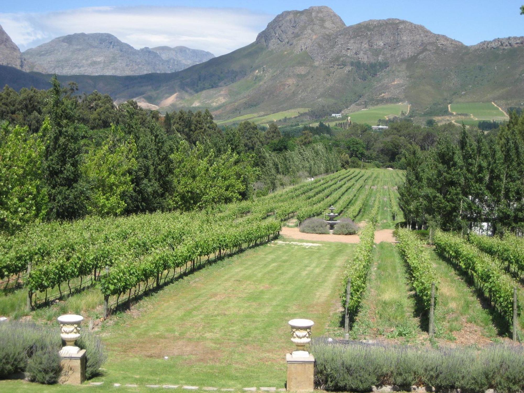 Franschhoek Rose Cottages Kültér fotó