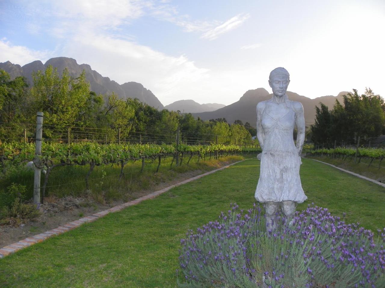 Franschhoek Rose Cottages Kültér fotó