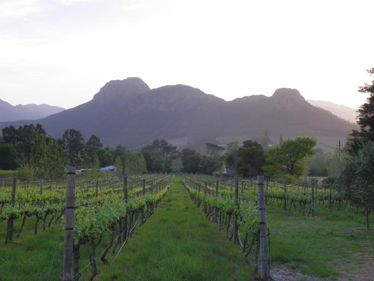 Franschhoek Rose Cottages Kültér fotó